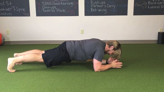Plank On Forearms
