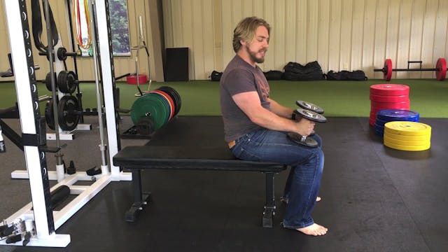 Dumbbell Bench Press