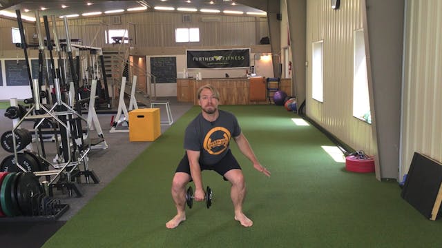 Single Arm Dumbbell High Pull