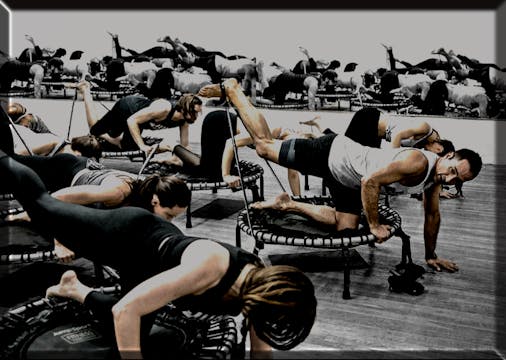 Lower Body: Livestream