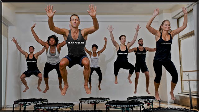 Torso Triad 