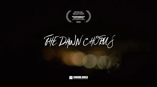 The Dawn Chorus (2021)