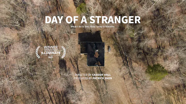 Day of a Stranger