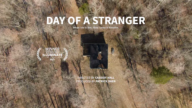 Day of a Stranger