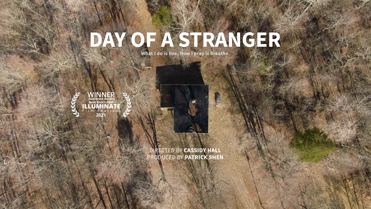 Day of a Stranger