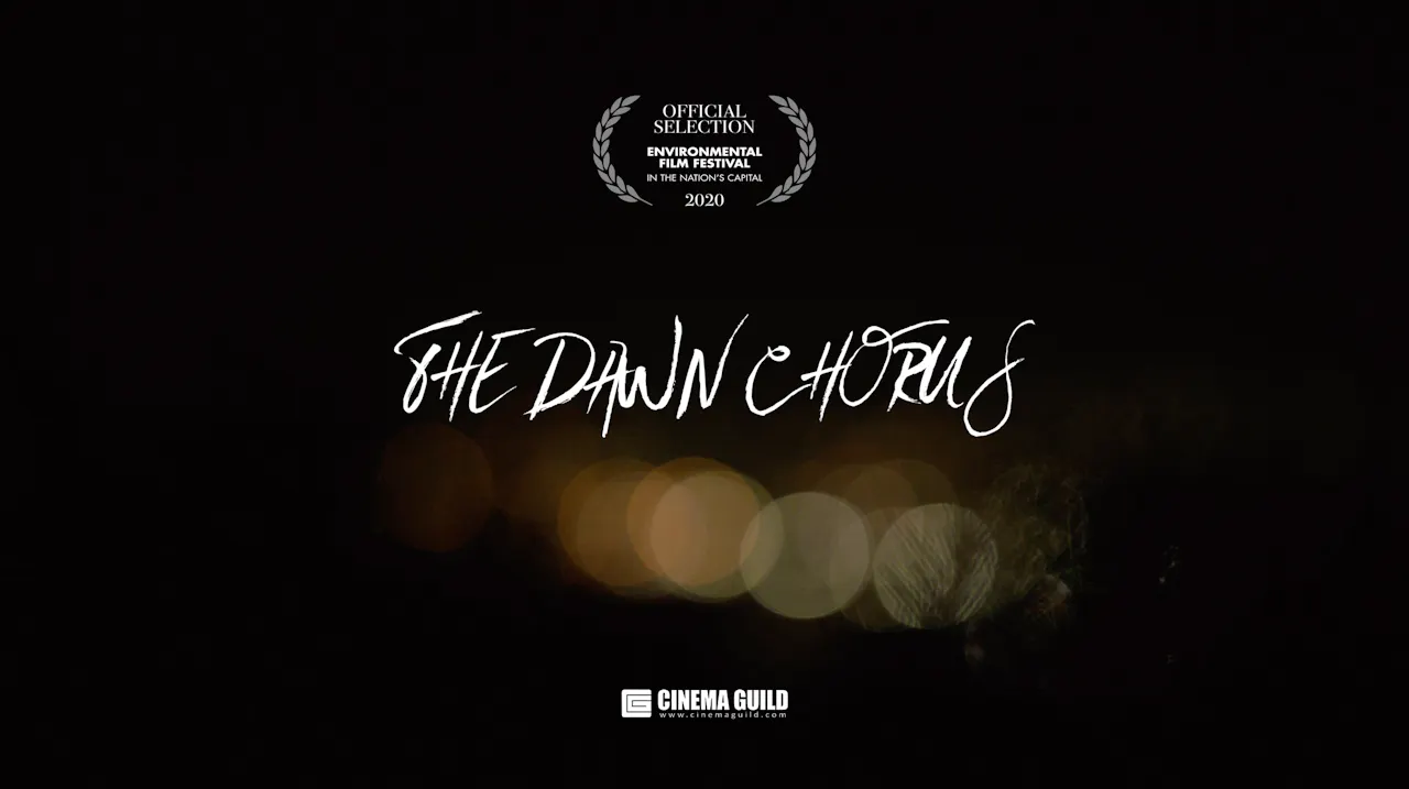 The Dawn Chorus
