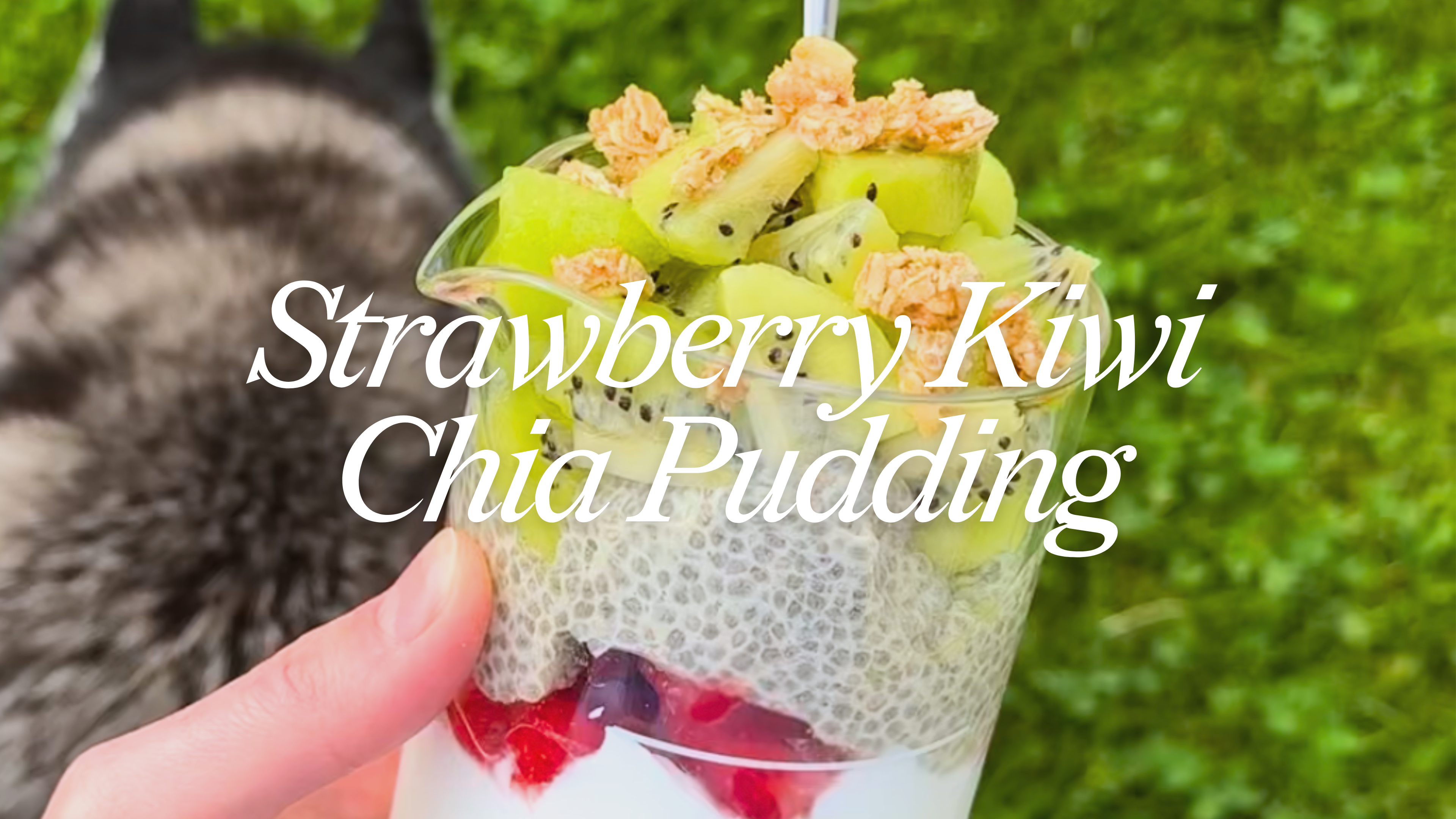 Strawberry Kiwi Chia Pudding