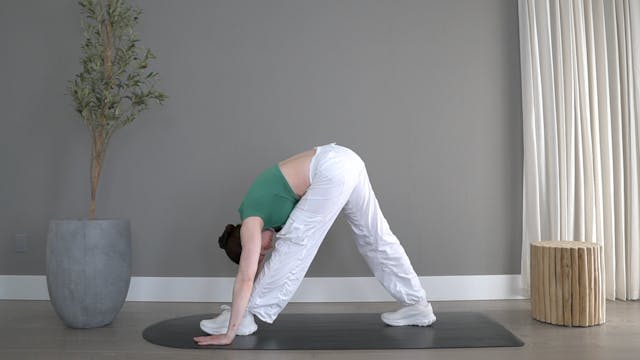 Move & Groove Mobility