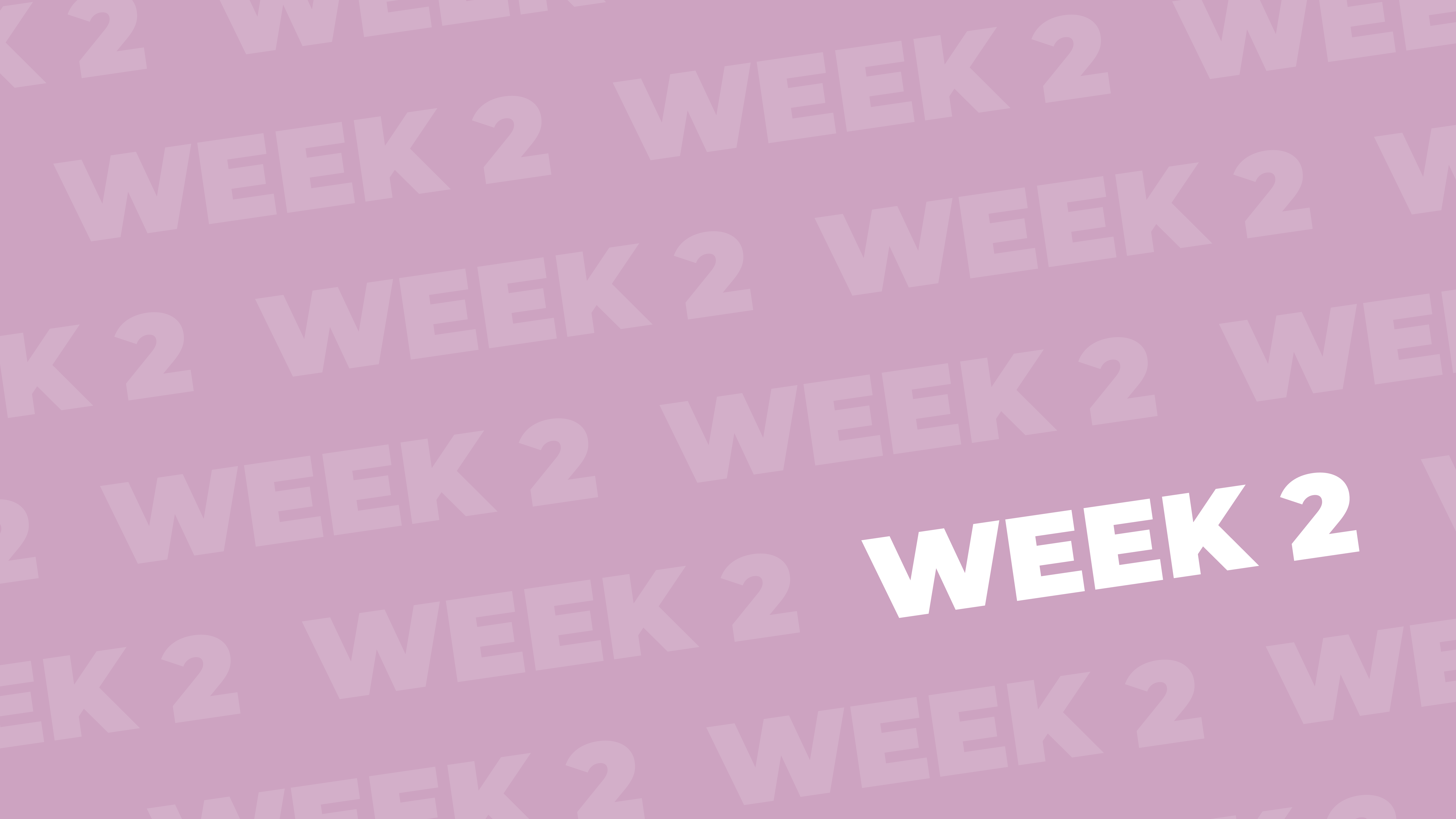 WEEK 2 - Full Body Fit 1.0