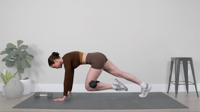 Twist & Resist Fusion Core