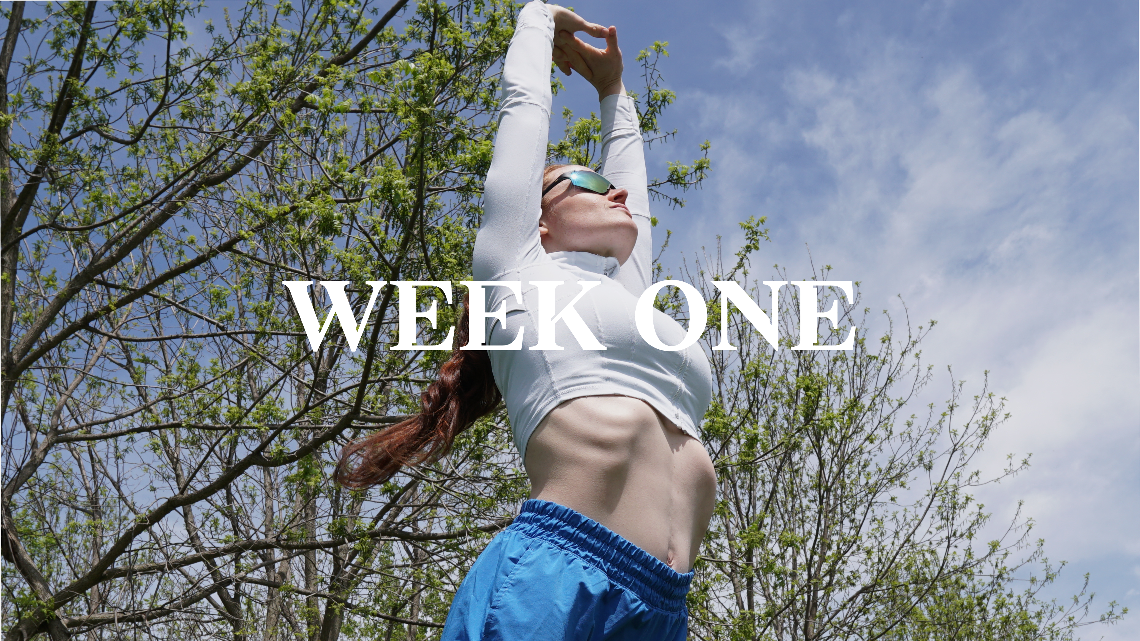 WEEK 1 - Hybrid Challenge