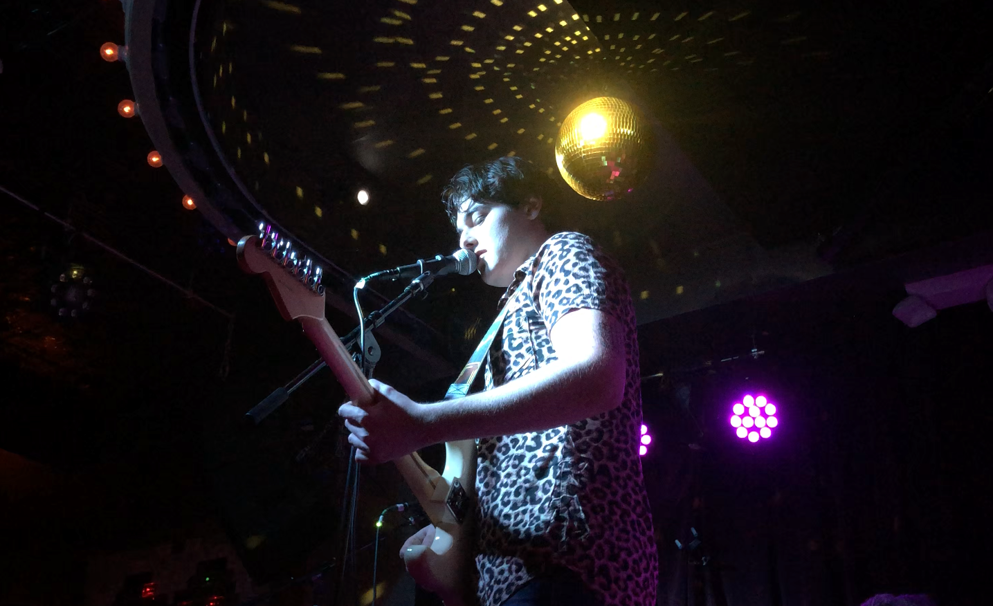 dante palminteri live