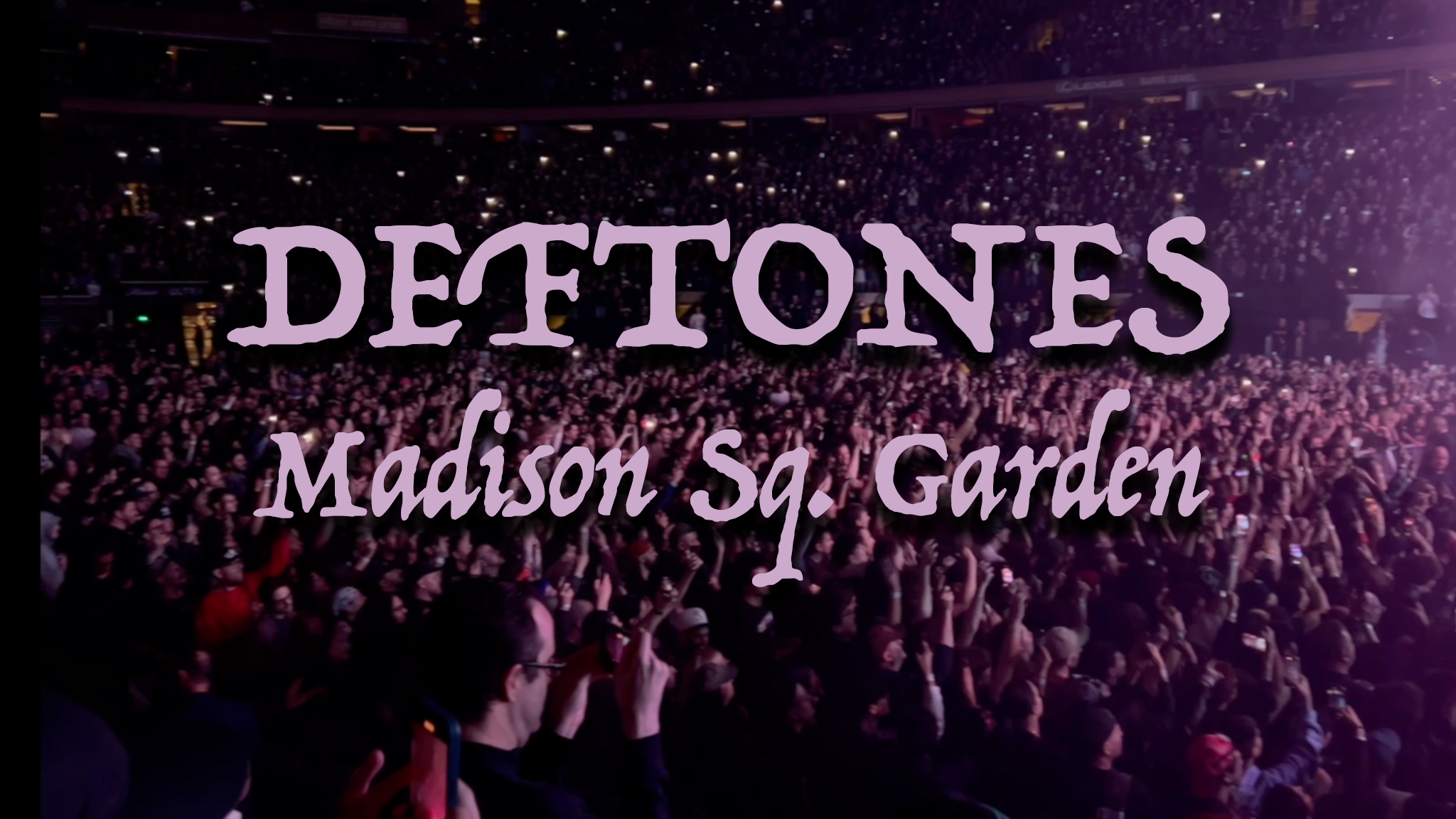 Transparent Film Festival Video