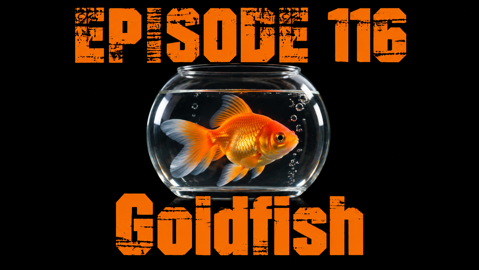 TFF Presents Ep. 116 - Goldfish