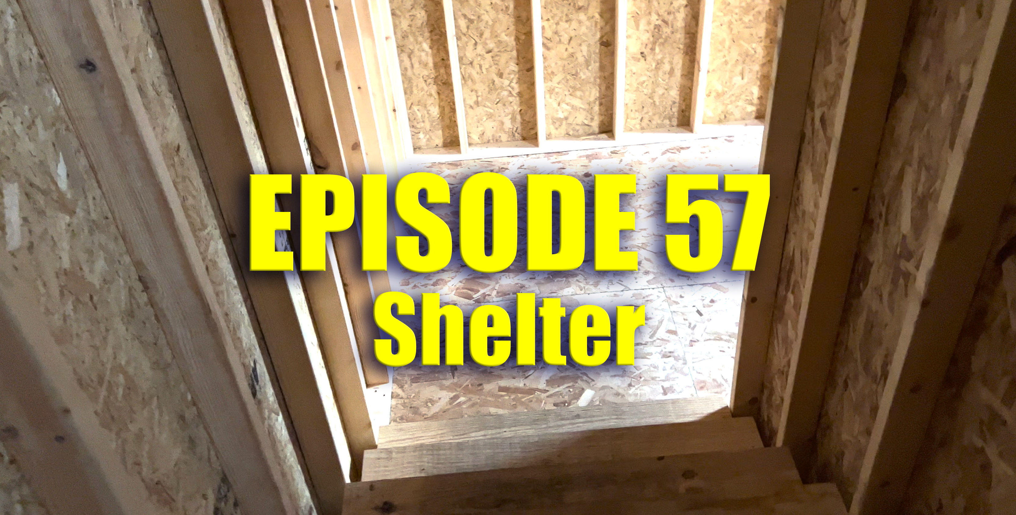 TFF Presents Ep. 57 - Shelter