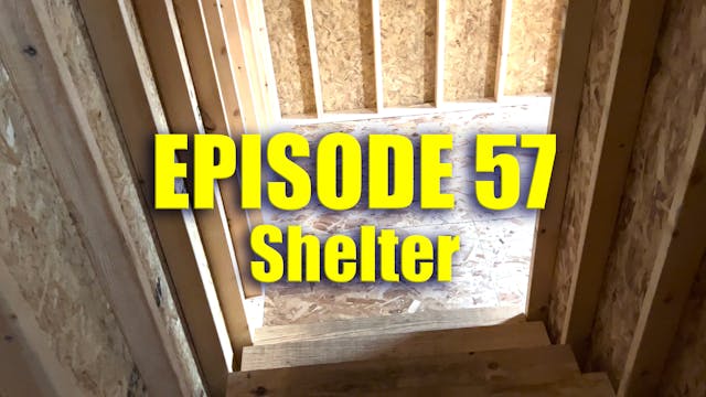 TFF Presents Ep. 57 - Shelter
