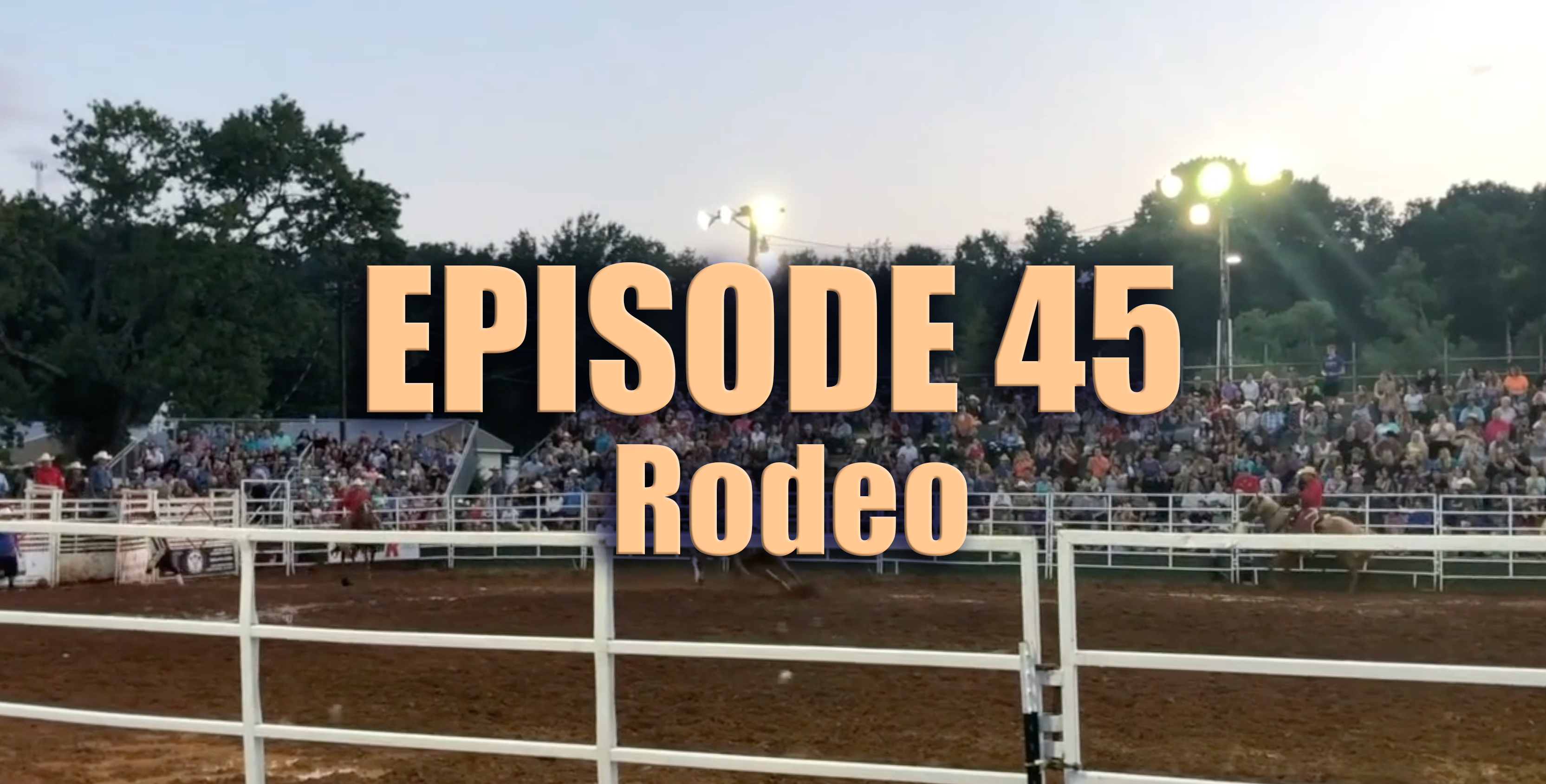 Transparent Film Festival Presents Episode 45 - Rodeo
