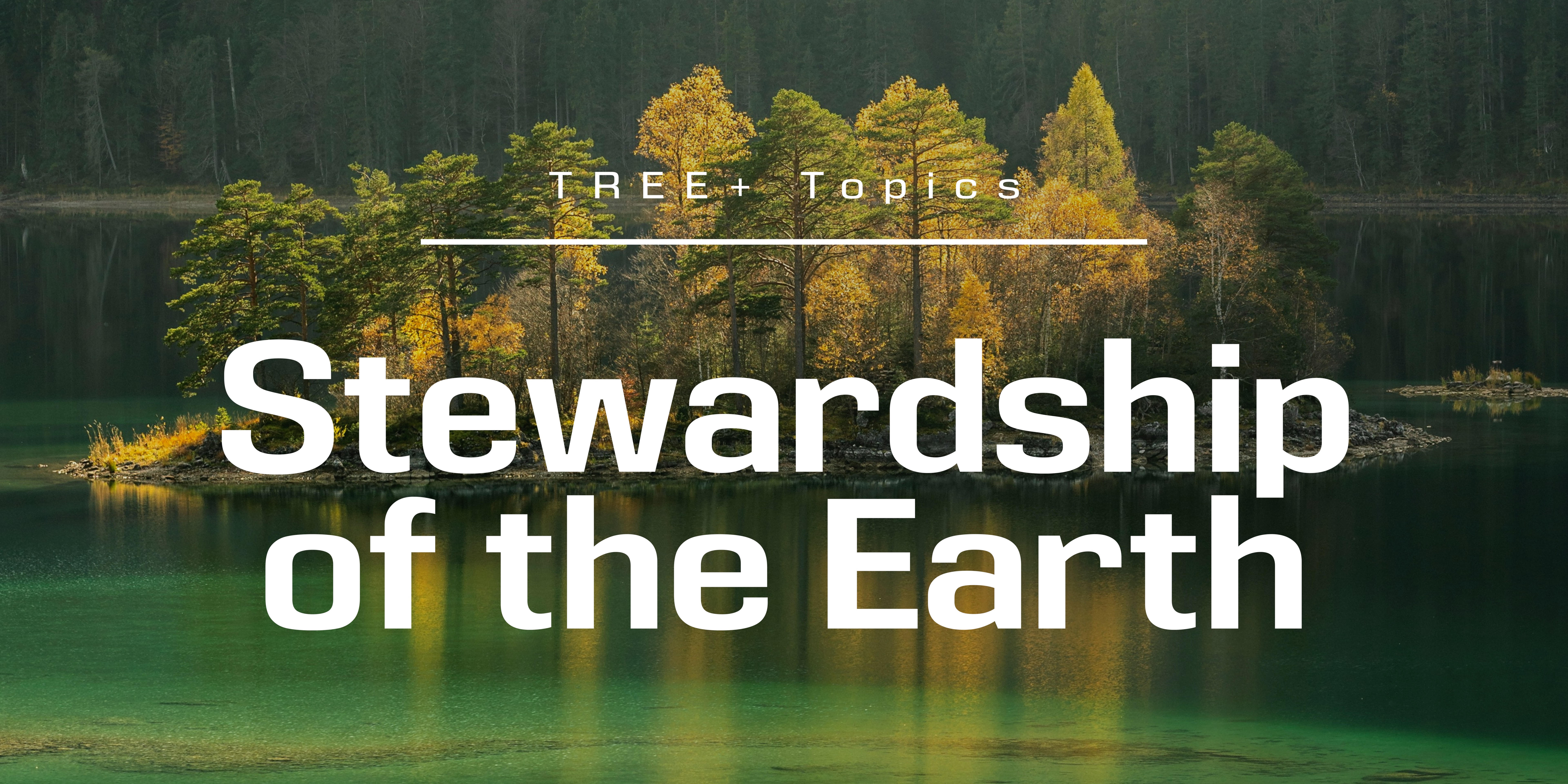 Stewardship of the Earth
