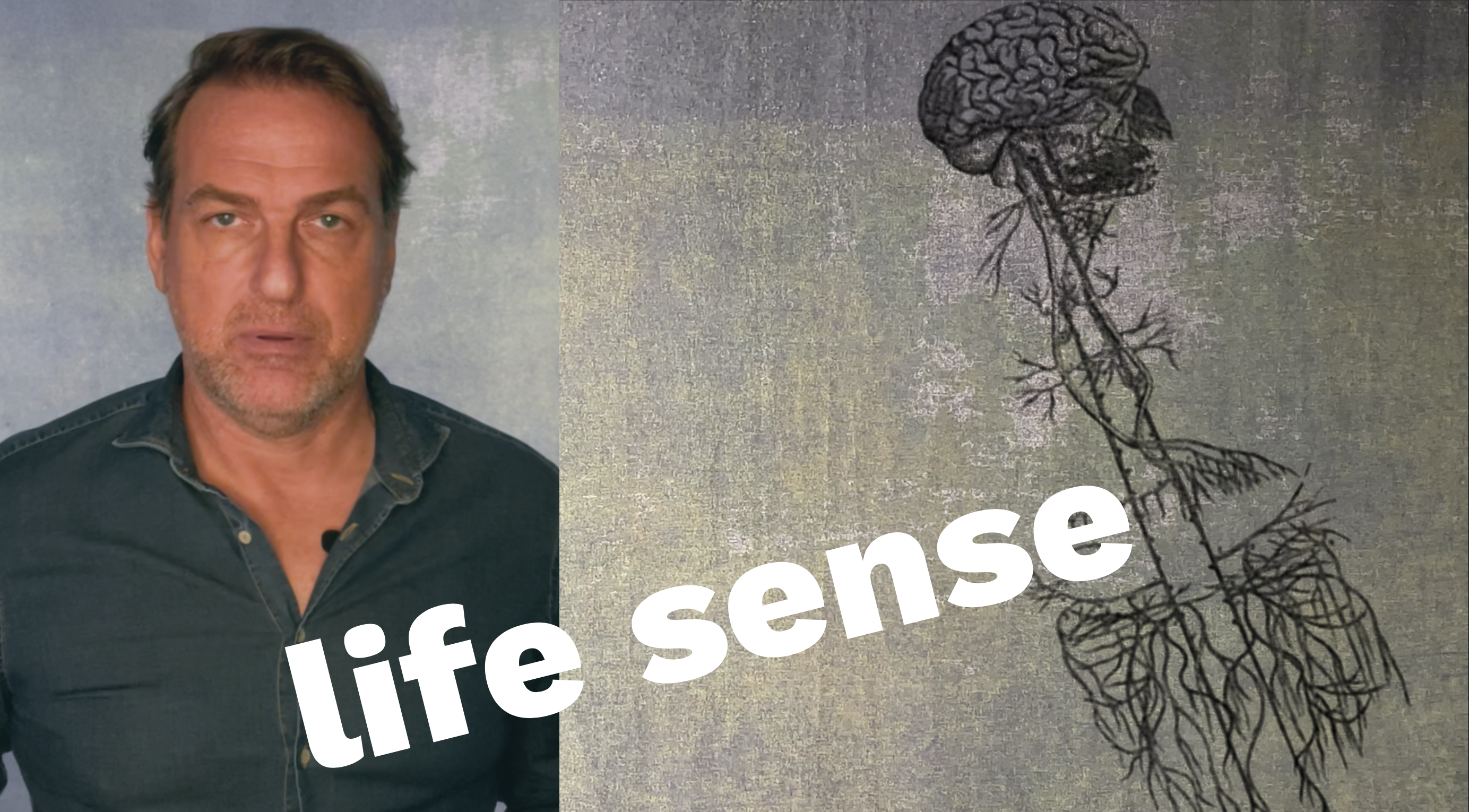 The Life Sense - The 12 Human Senses