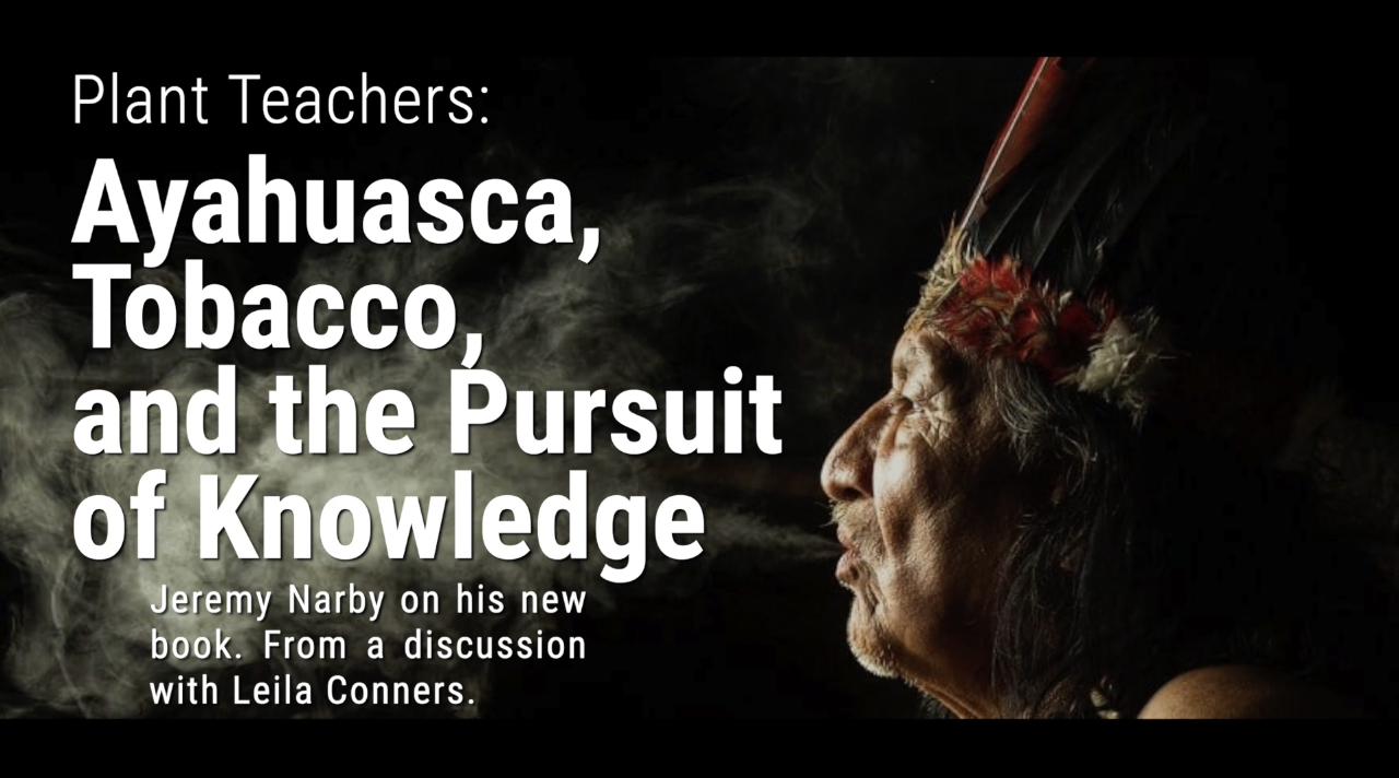 Plant Teachers: Ayahuasca, Tobacco and the Pursuit of Knowledge