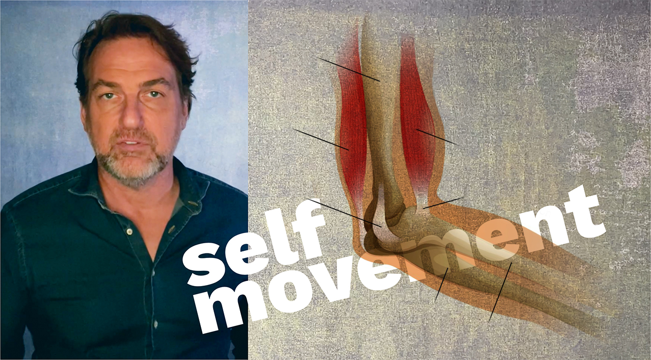 Sense of Self-Movement - The 12 Human Senses