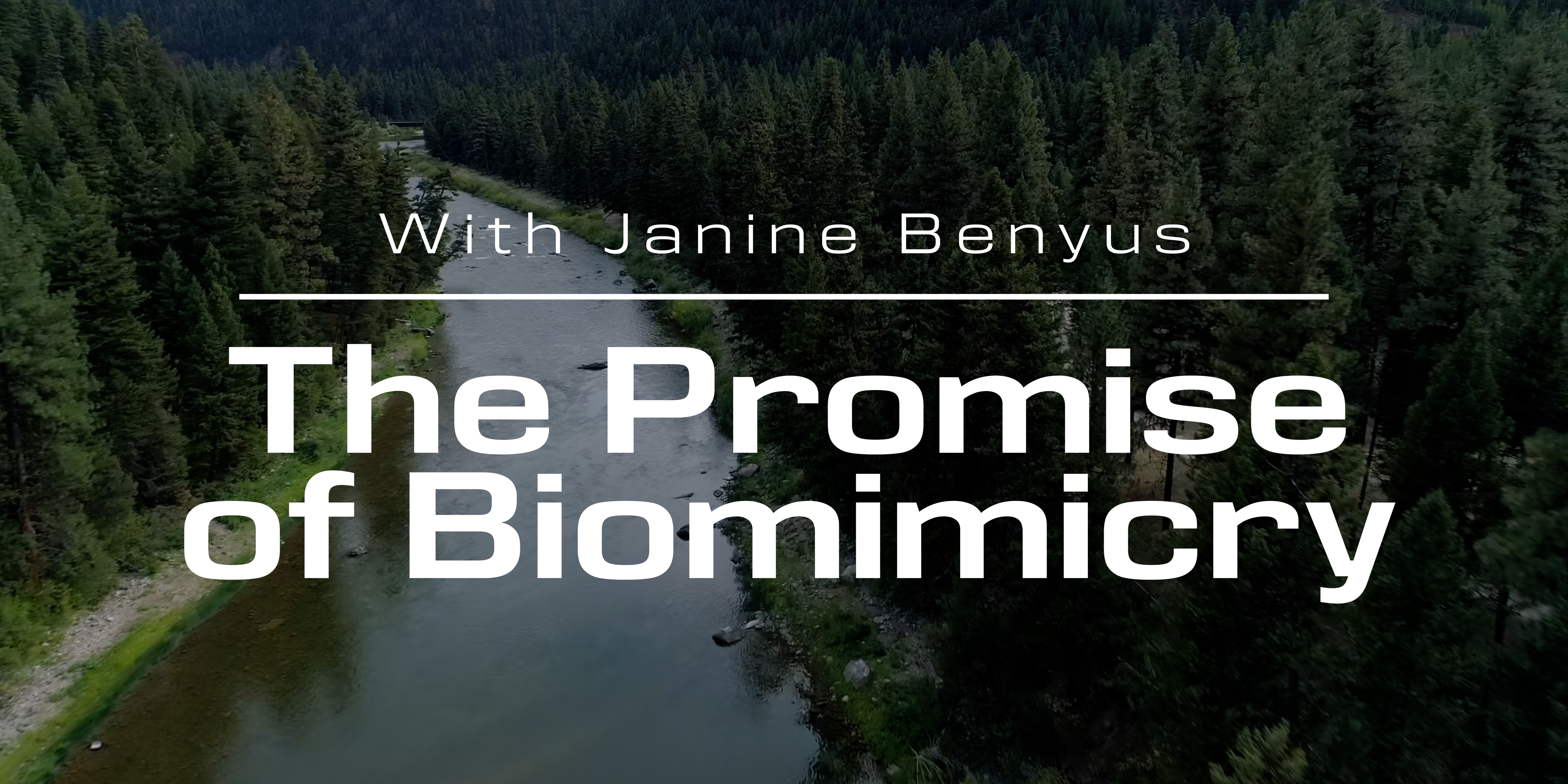 The Promise Of Biomimicry