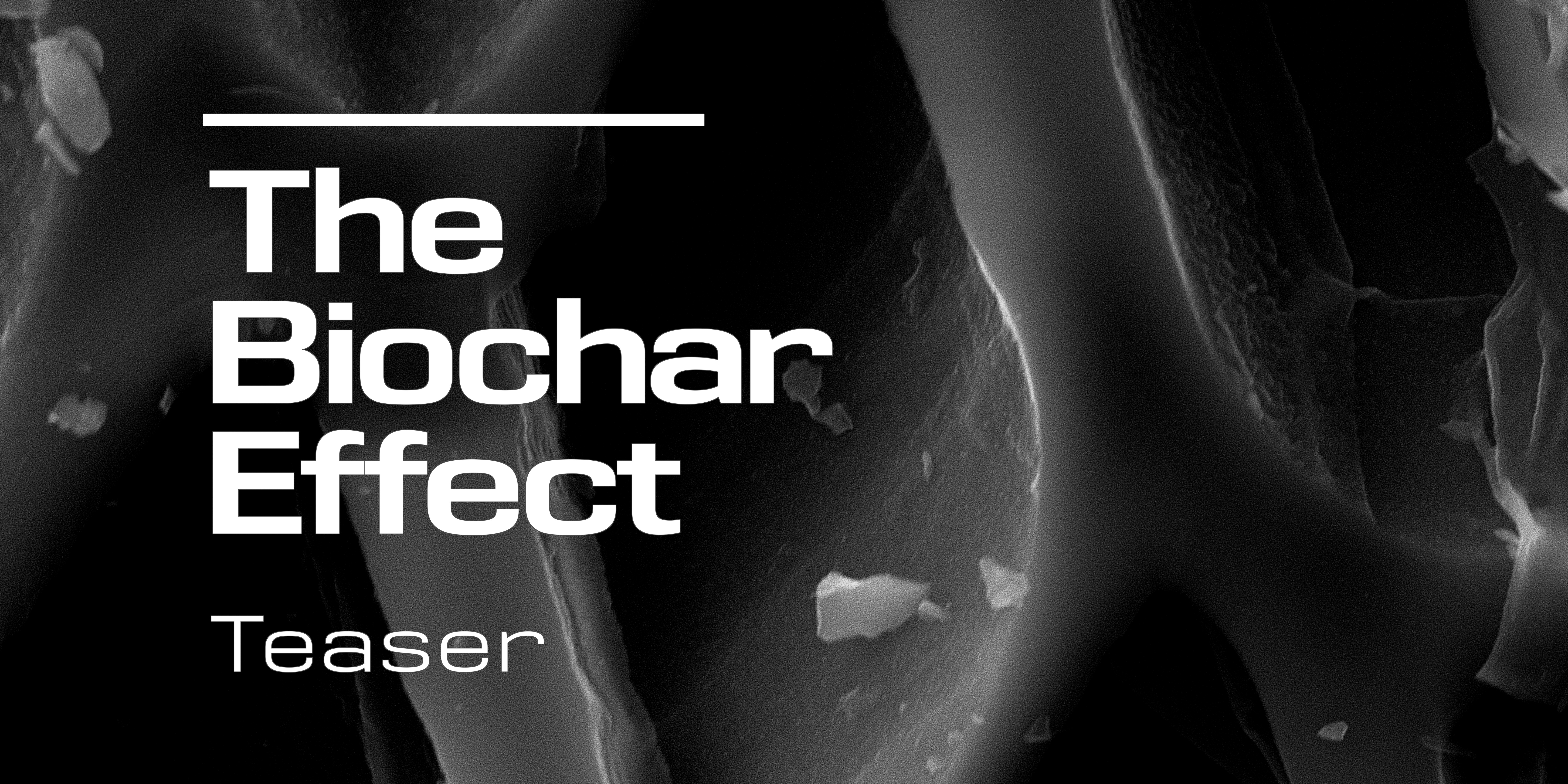 The Biochar Effect