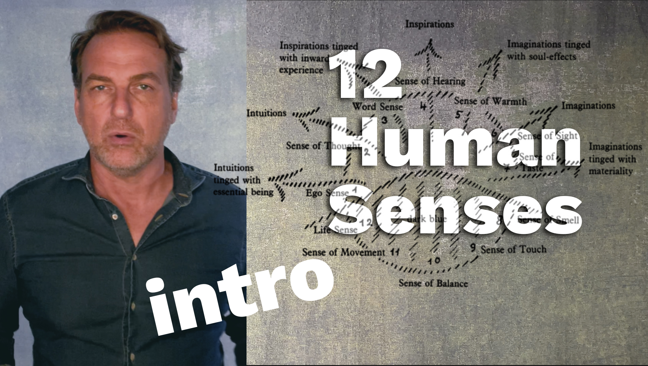 Introduction to the 12 Human Senses