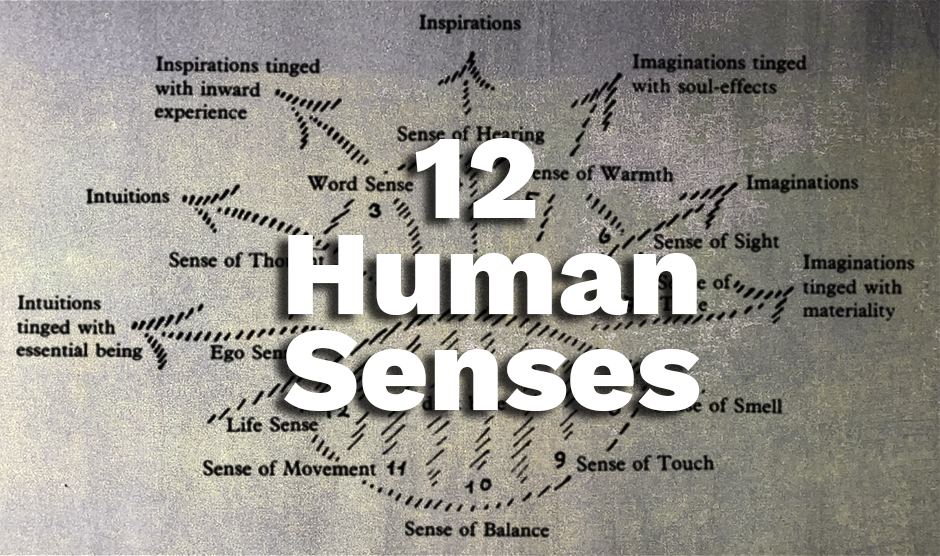 The 12 Human Senses