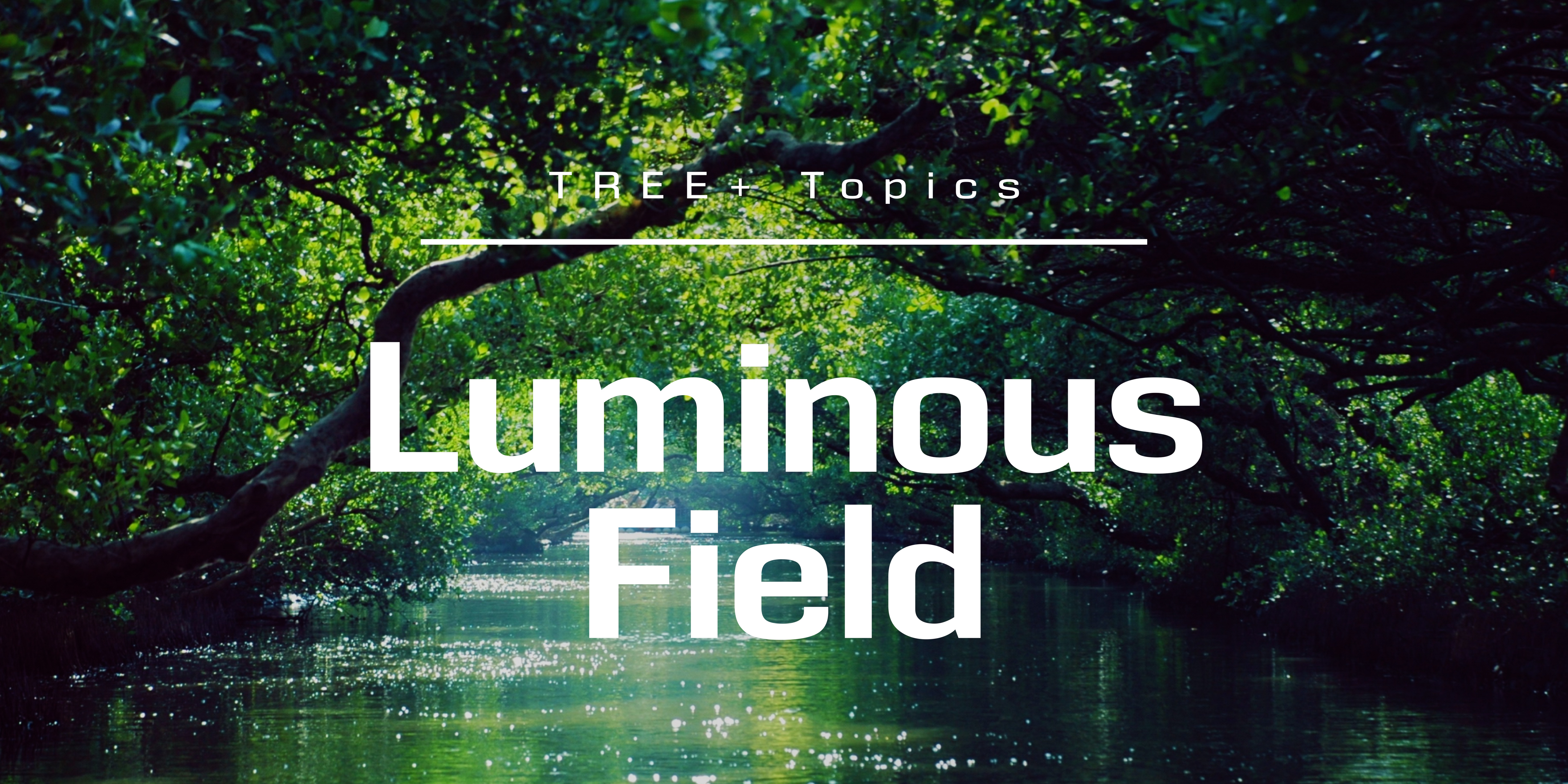 Luminous Field