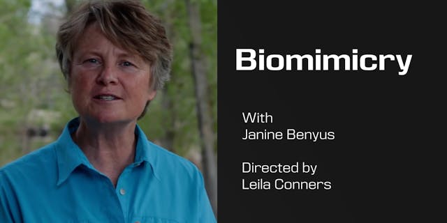 Biomimicry with Janine Benyus