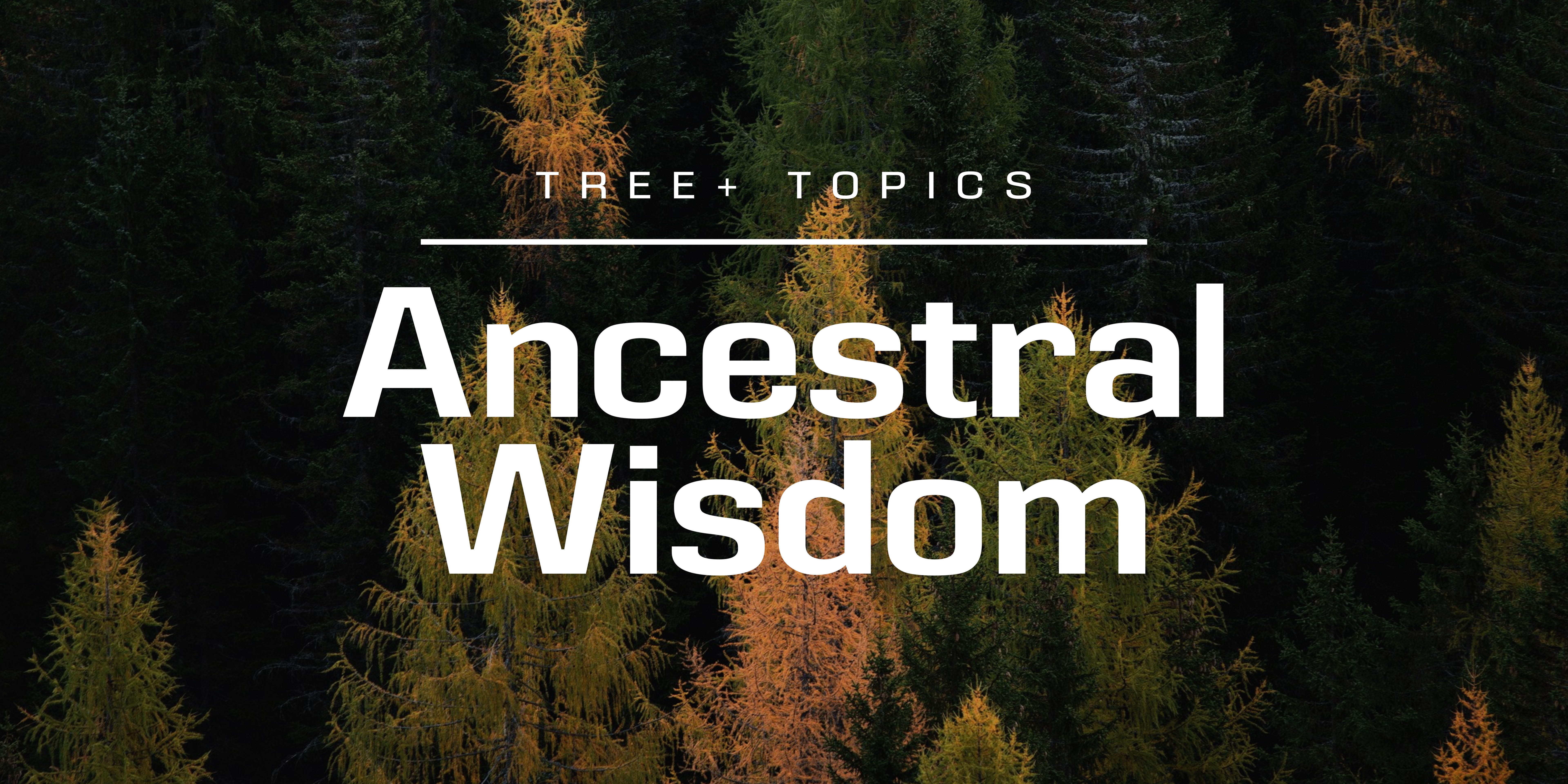 Ancestral Wisdom