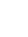 Tree+