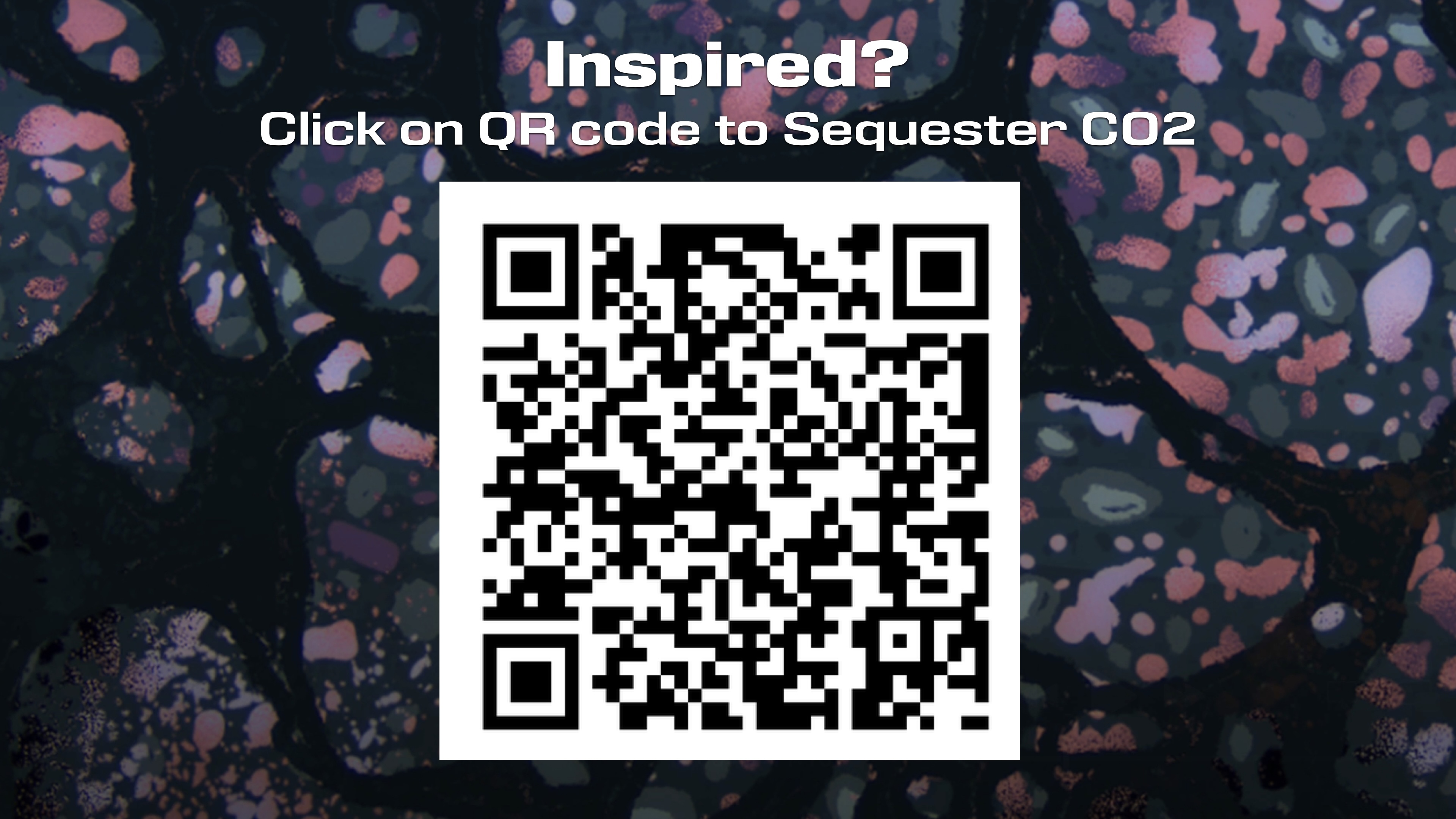 Inspired? Click on QR Code to Manage Carbon! Choose from Six Different Pathways.