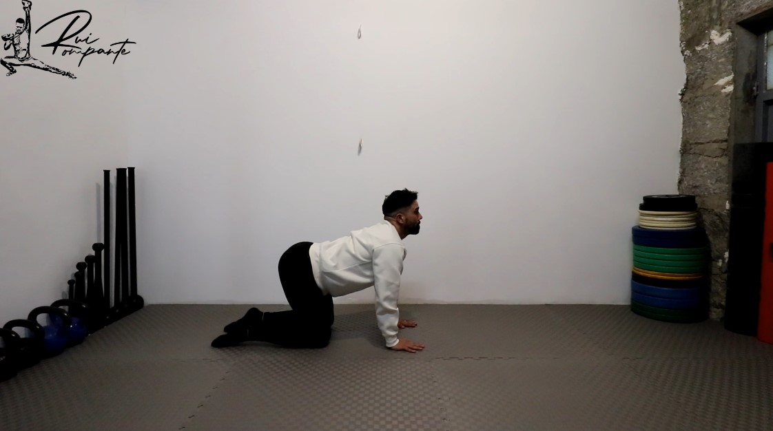 Aula Introdutória 09 - Coluna Flexão - Extensão