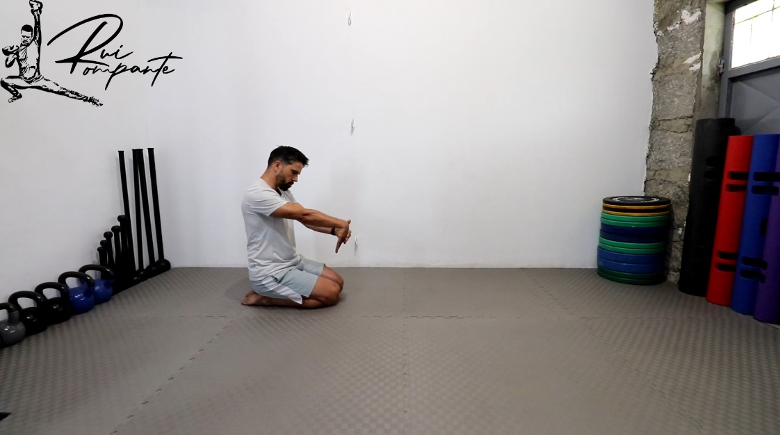 Aula Introdutória 12 - Punho Extensão, Flexão e Mão