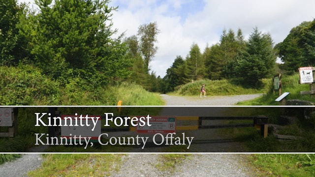 Kinnitty Forest, Kinnitty, County Offaly