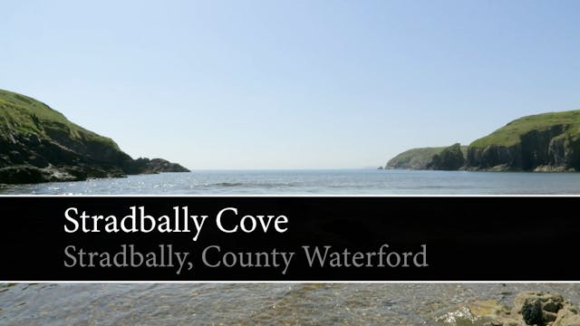 09. [Trail] Stradbally Cove, Stradbal...