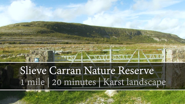 Slieve Carran Nature Reserve, Keelhilla, County Clare