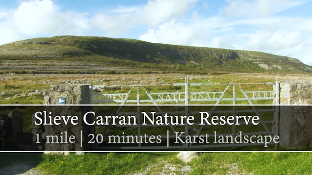 Slieve Carran Nature Reserve, Keelhil...