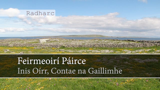 [Scenic Viewpoint] Feirmeoirí Páirce,...