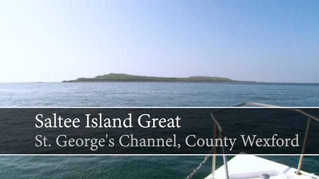 [Guided Tour] Saltee Island Great, St...