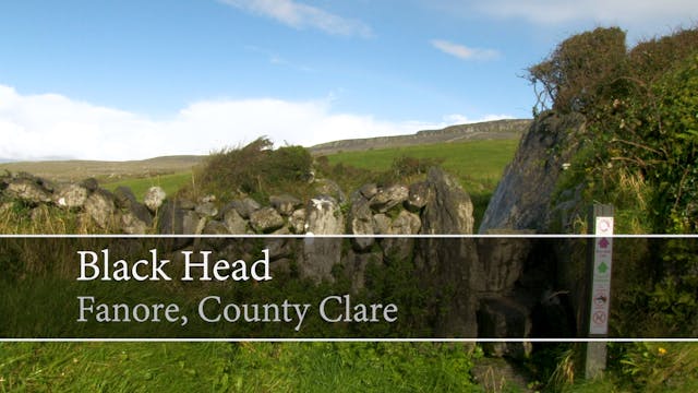 [Guided Tour] Black Head, Fanore, Cou...