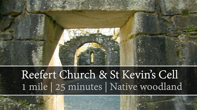 Reefert Church & Saint Kevin's Cell, Glendalough, County Wicklow