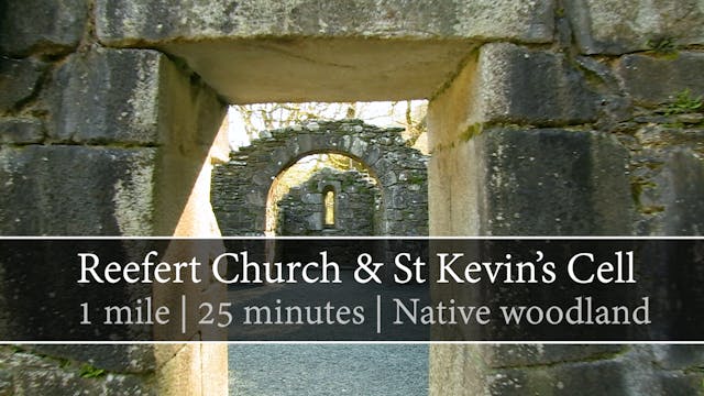 Reefert Church & Saint Kevin's Cell, ...