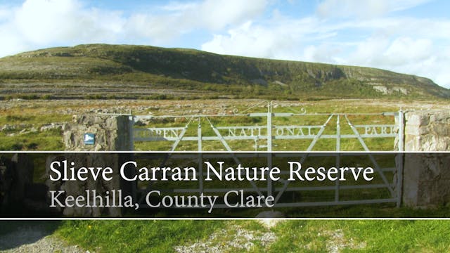 Slieve Carran Nature Reserve, Keelhil...