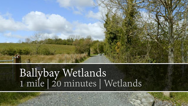 Ballybay Wetlands, Ballybay, County M...