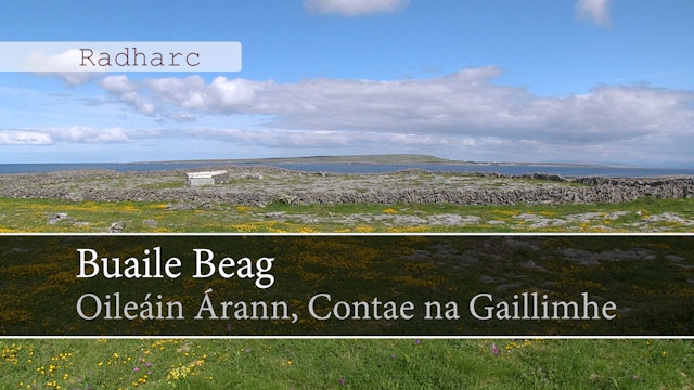 Farmers' Fields, Aran Islands, County Galway