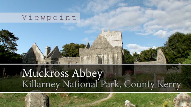 Muckross Abbey, Killarney National Pa...