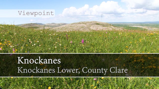 [Viewpoint] Knockanes, Knockanes Lowe...